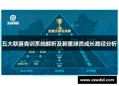 五大联赛青训系统解析及新星球员成长路径分析