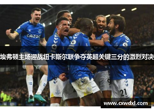 埃弗顿主场迎战纽卡斯尔联争夺英超关键三分的激烈对决