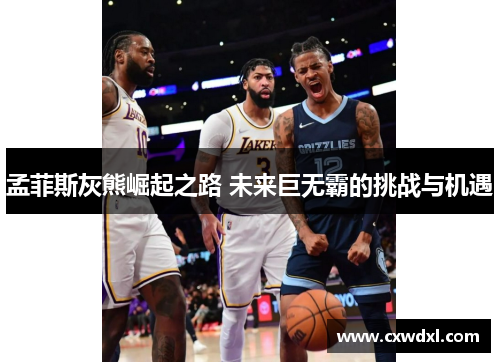 孟菲斯灰熊崛起之路 未来巨无霸的挑战与机遇