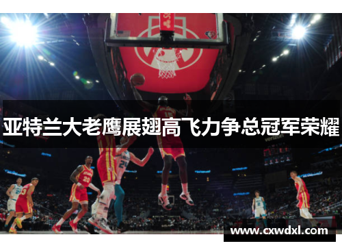 亚特兰大老鹰展翅高飞力争总冠军荣耀